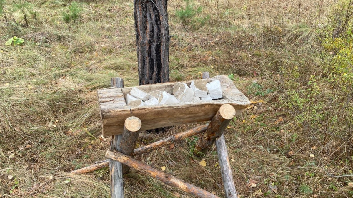 Более 600 тонн кормов заготовили для диких животных в нацпарке &laquo;Бурабай&raquo;