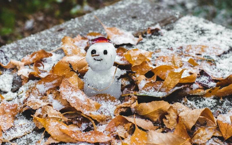 snow