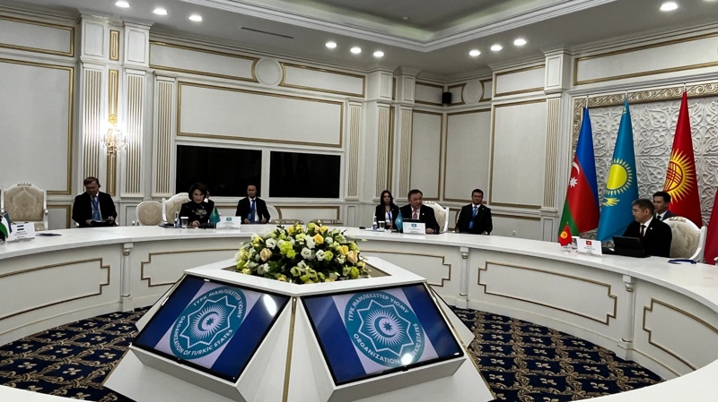Kazakhstan urges Turkic states to pool medicine purchases Kazakhstan urges Turkic states to pool medicine purchases