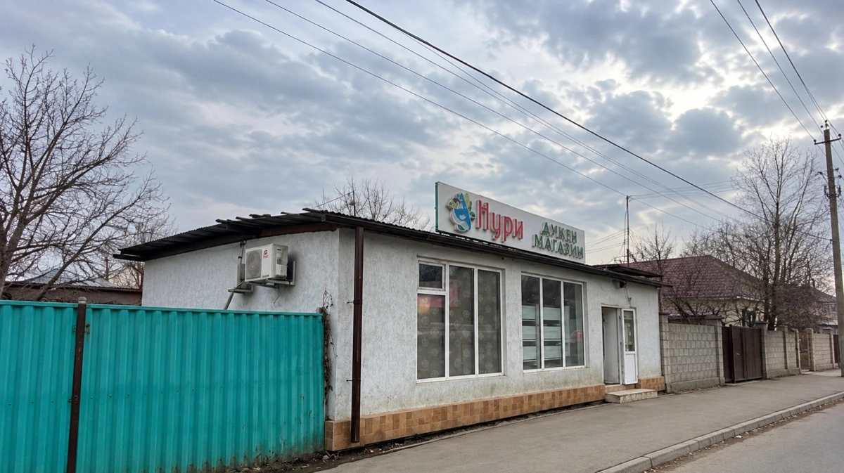 Магазин и шиномонтаж в незаконной пристройке снесли в Алматы