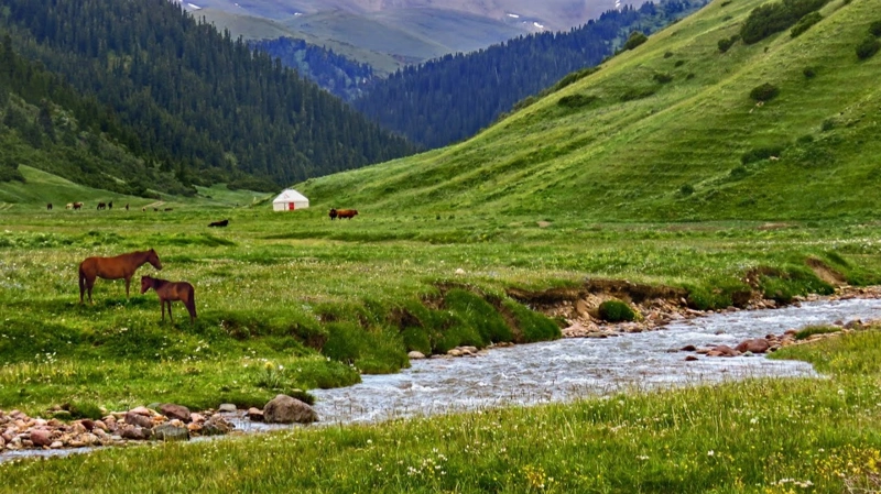 жайалу