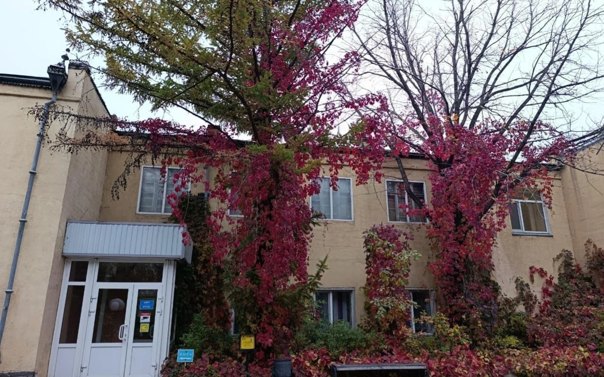 Botanıkalyq baq
