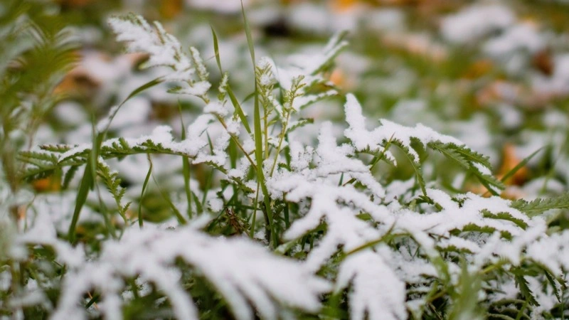 Kazakhstan to brace for wet snow and ice-slick