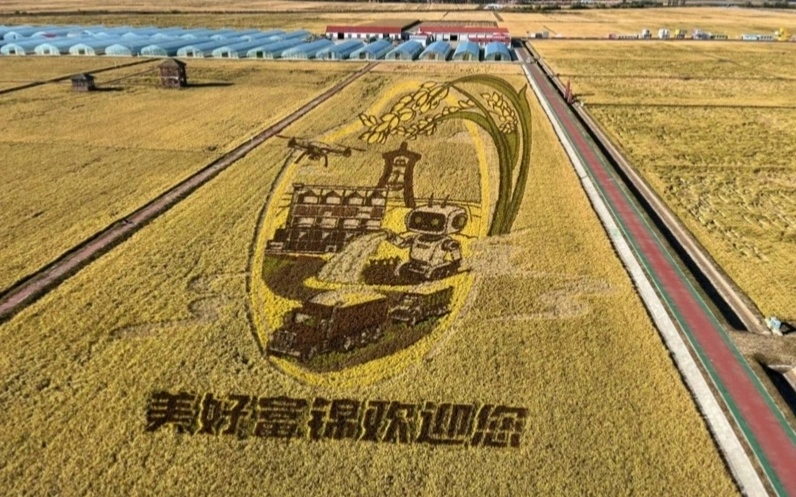 Хитой қишлоқ хўжалигини қандай рақамлаштирмоқда