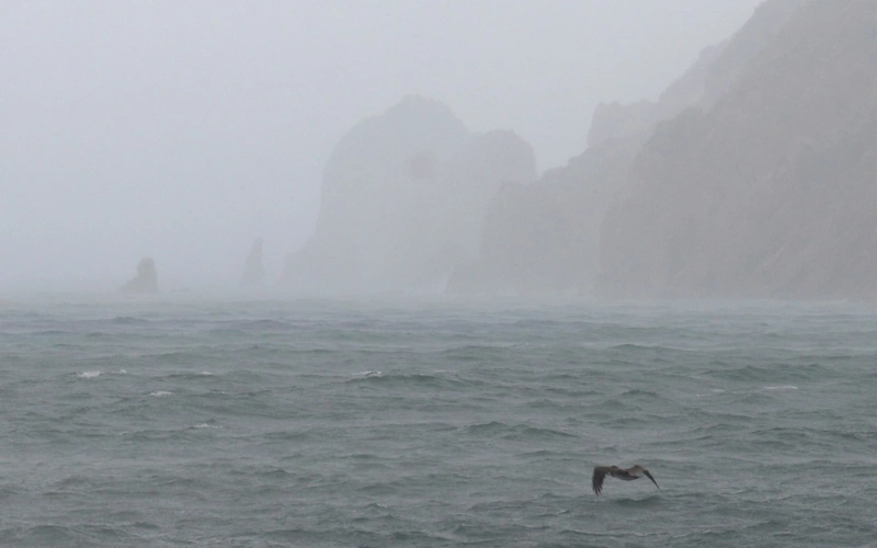 Mexico issues alert over three tropical cyclones