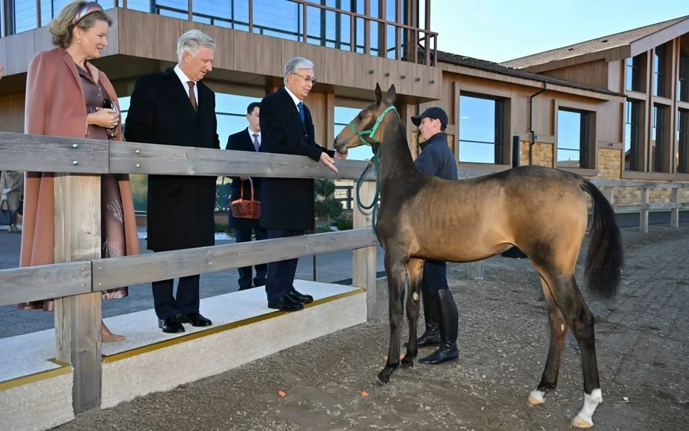 King Philippe and Queen Mathilde get acquainted with Kazakh cultural and equestrian heritage