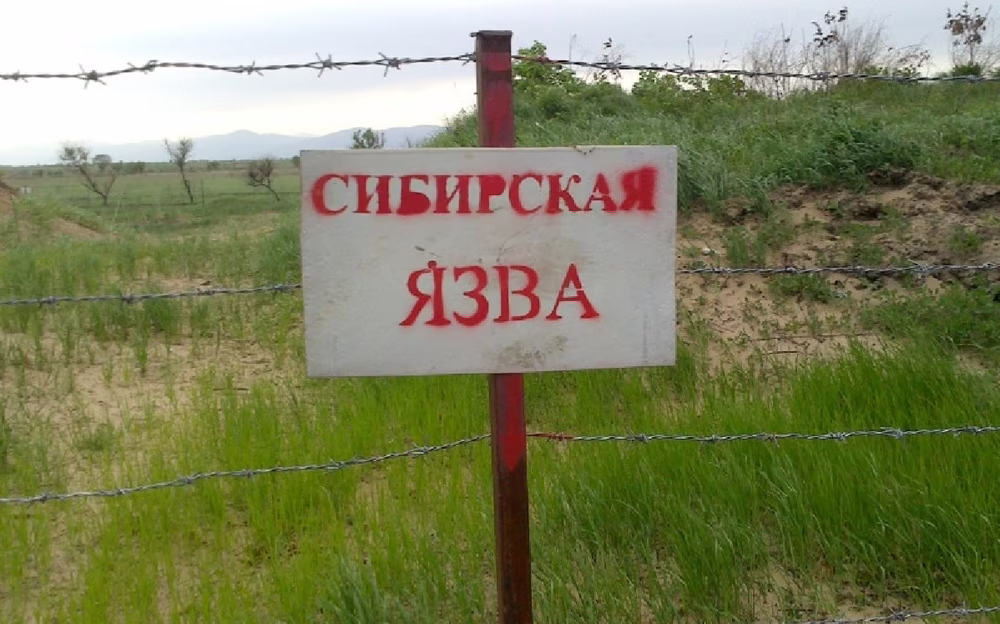 Ограждения 116 захоронений сибирской язвы износились в Жамбылской области