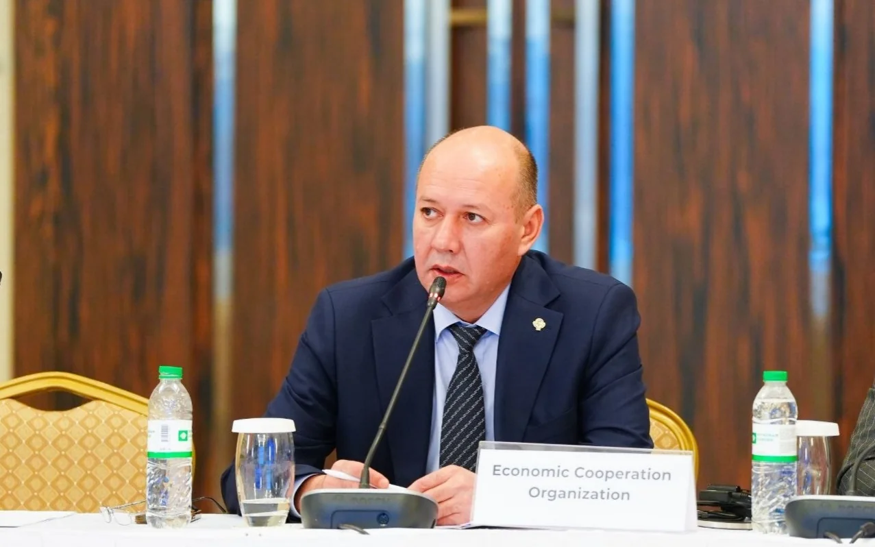 Қазақстанның көлік дәліздерін дамыту жөніндегі бастамалары ЭЫҰ аясында қолдау тапты
