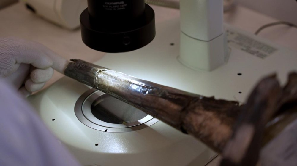Kazakh scientists set to reveal mystery of ancient silver headdress