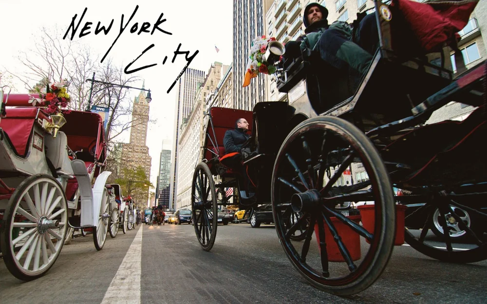 New York City’s horse-drawn carriages, USA, New York, carriage