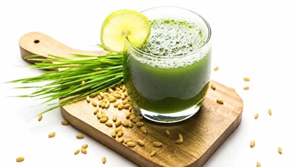 Kazakhstan exports wheatgrass juice to Russia and UAE