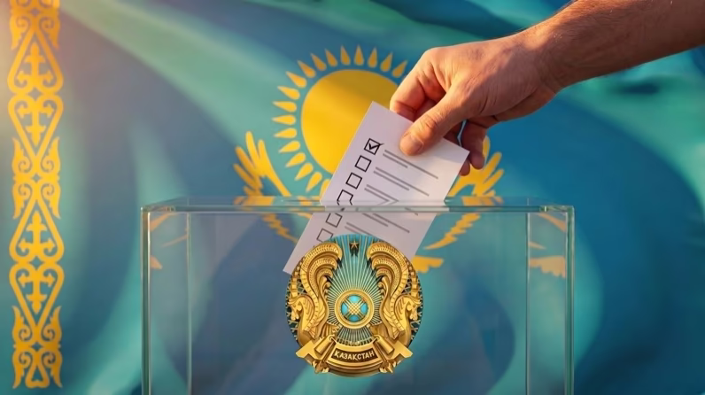 выборы