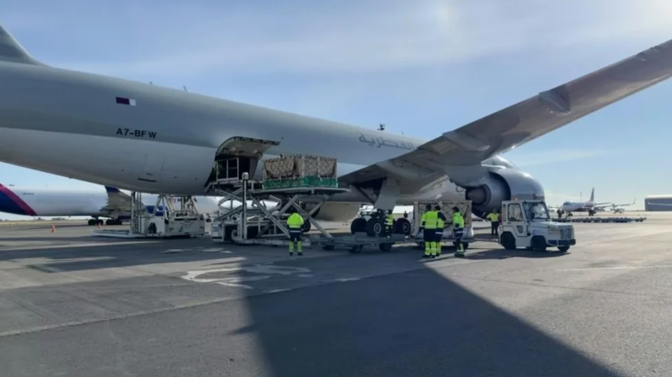 North Kazakhstan receives first shipment of pedigree livestock from Australia