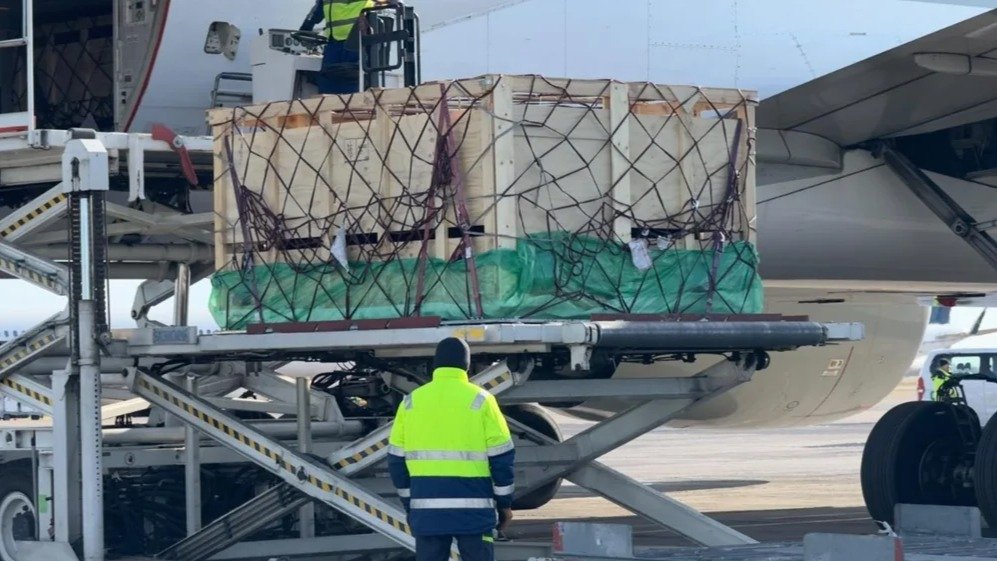 North Kazakhstan receives first shipment of pedigree livestock from Australia
