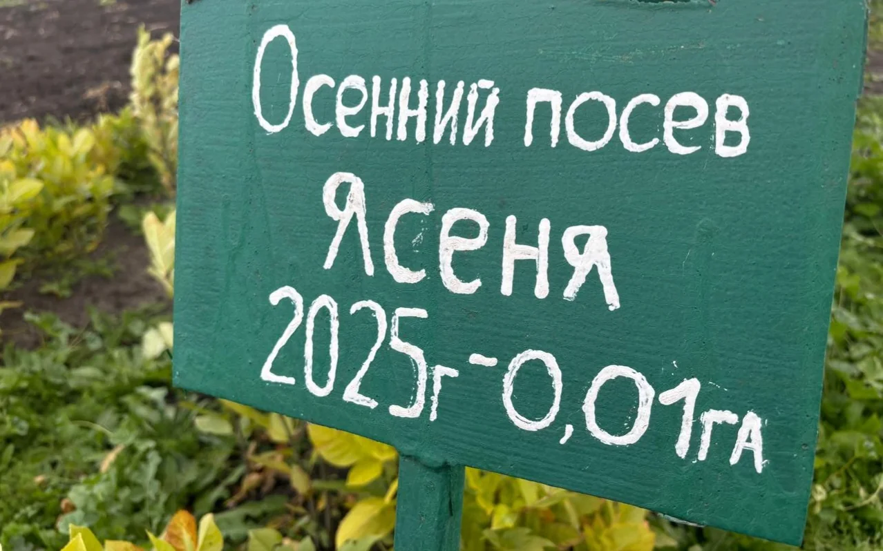 СҚО-да орман күзетінде қыз-келіншектер де еңбек етеді