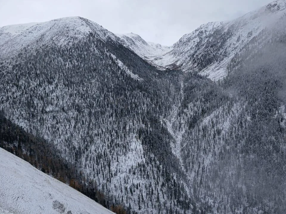 Алтай