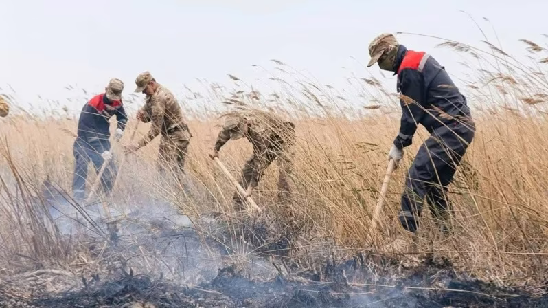 Атырауда қамыс өрті 10 сағаттан бері сөндіріліп жатыр