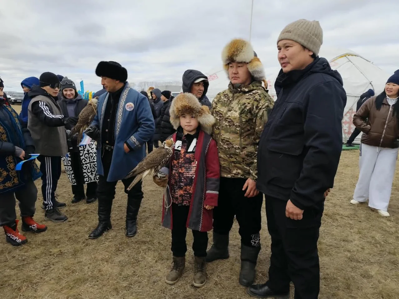 беркутчи