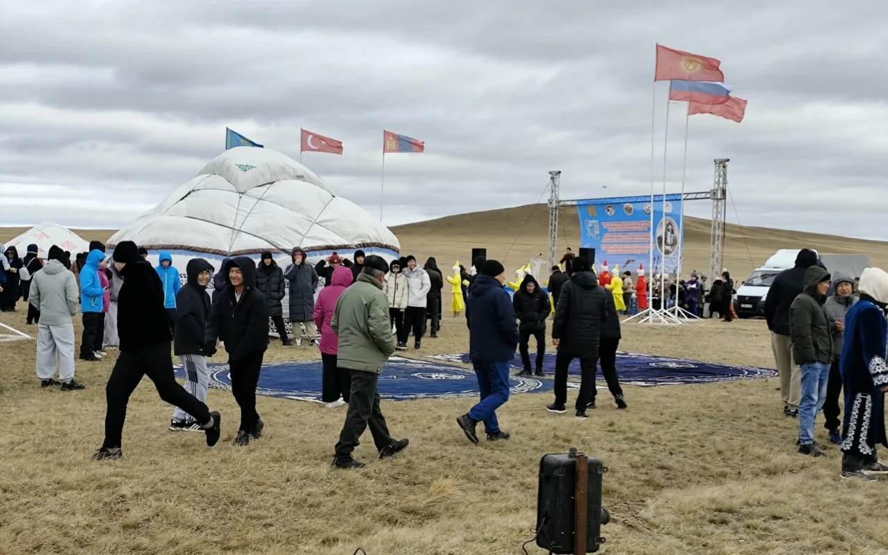 беркутчи