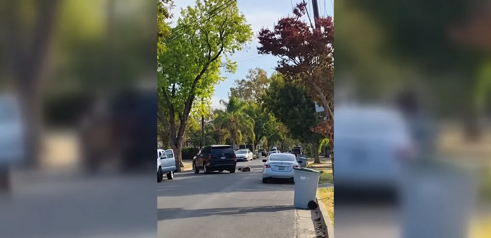  California, police, ICE, USA