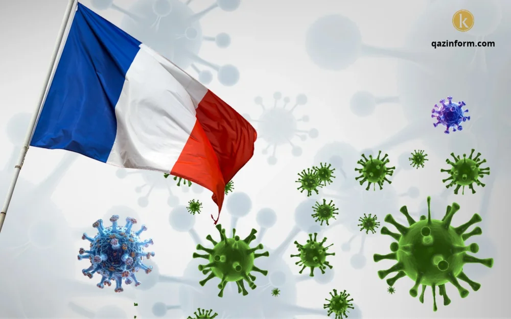 France, Shamonda, virus, healthcare