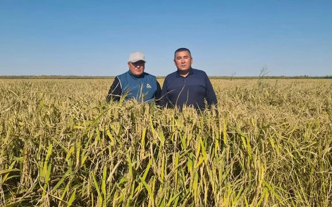 Әбдіхамит Аралбаев