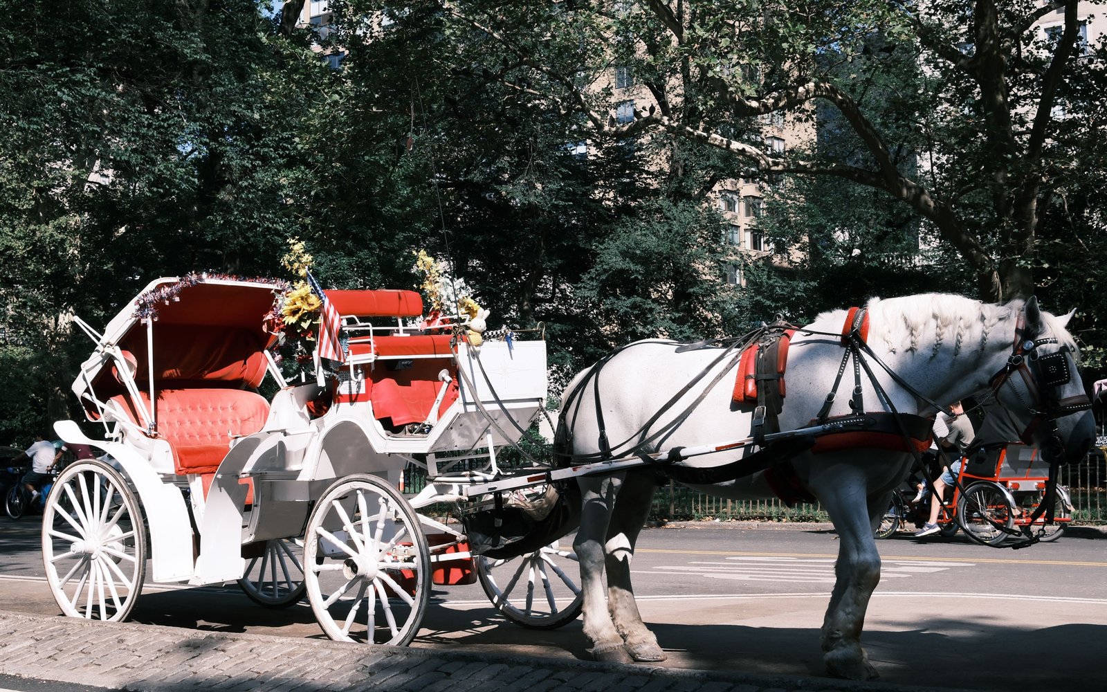 New York City to phase out Central Park horse-drawn carriages by Jun 1 ...