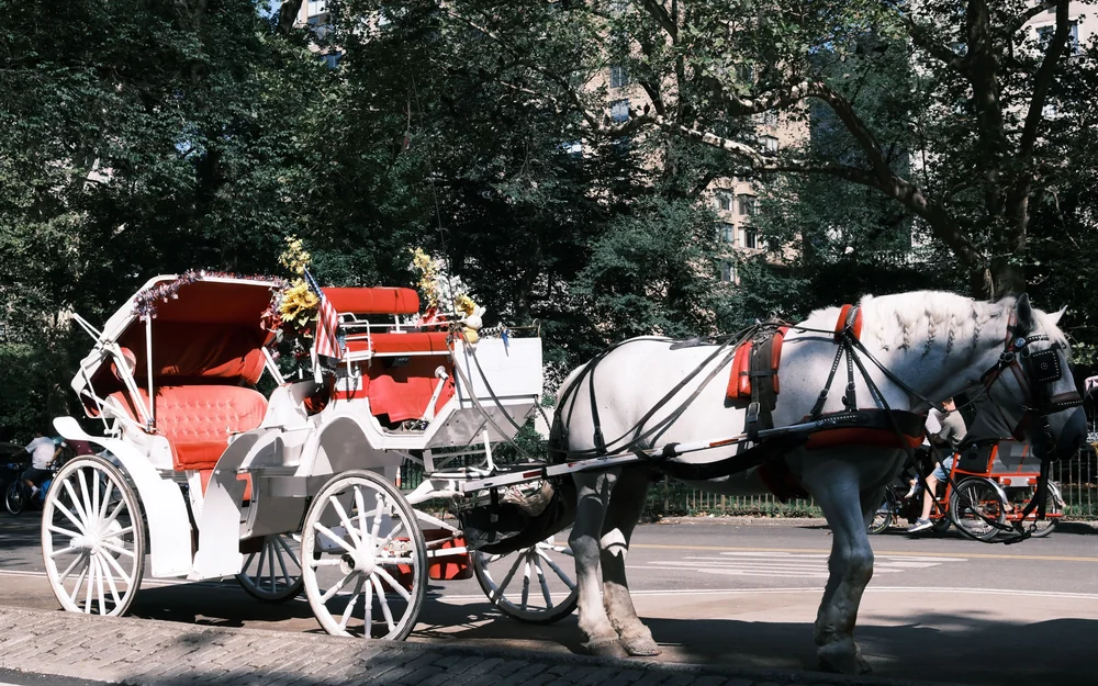 New York, horse-drawn carriages