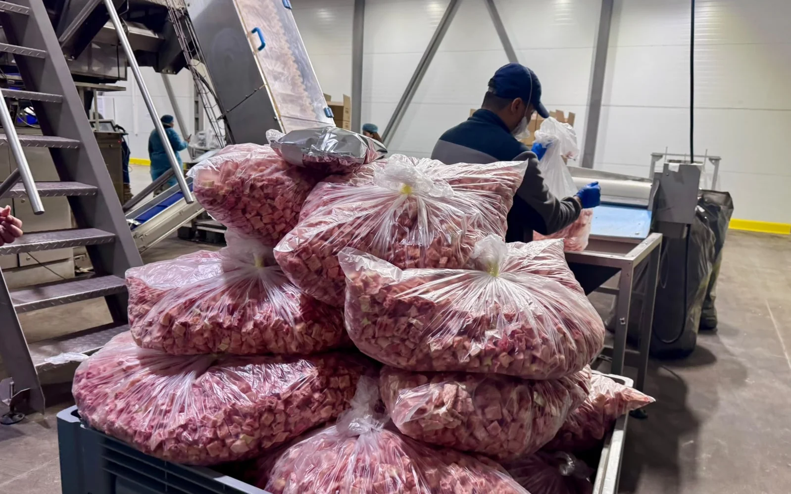 Клубника, которая хранится пять лет &mdash; как в Казахстане сублимируют продукты