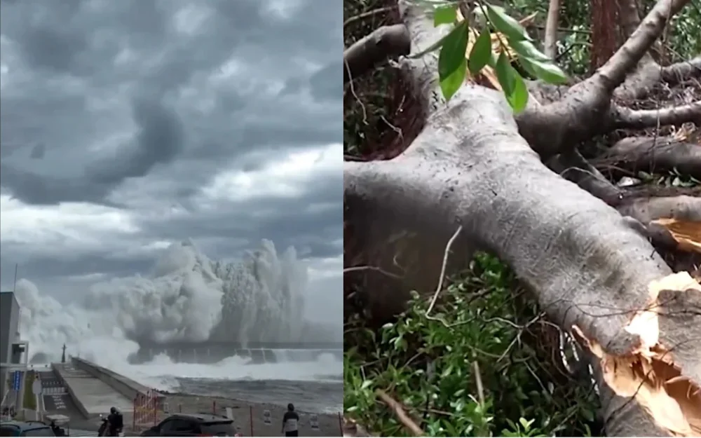 Large Typhoon Champi, Japan, hurricane