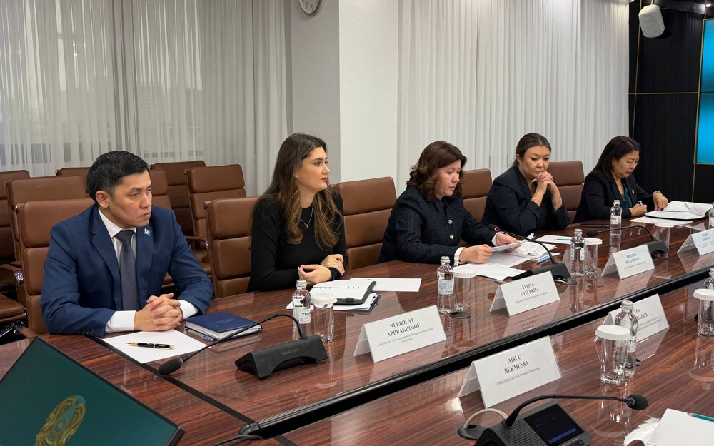 Kazakhstan presents new child protection measures to United Nations Kazakhstan presents new child protection measures to United Nations