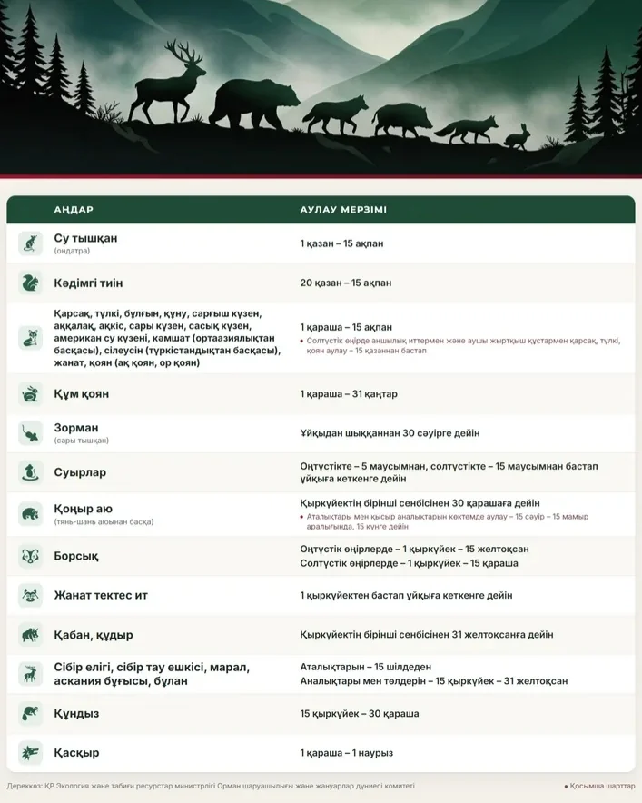 м