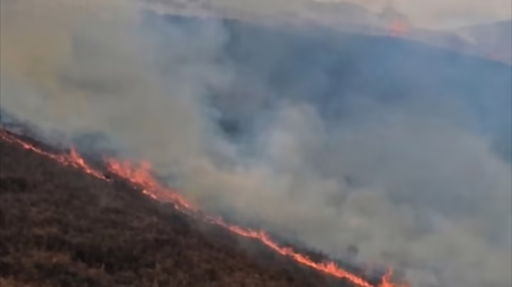 Лесной пожар вспыхнул в Каскеленском ущелье