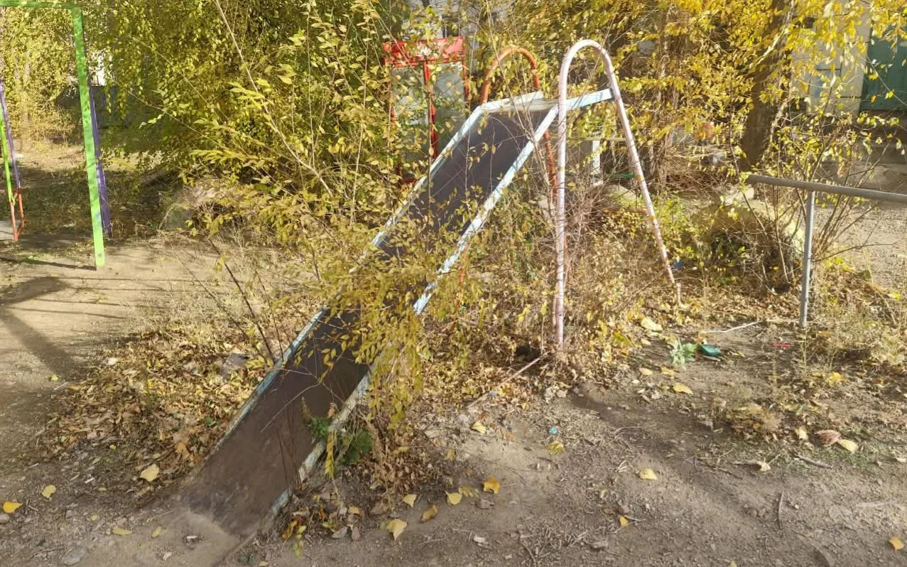 двор