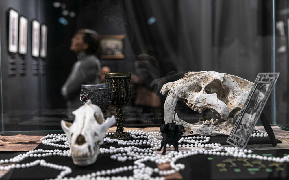 D&uuml;rer, Goltzius Mystery, Renaissance, exhibition, scull,  culture, art, Gothic, occult, esoteric